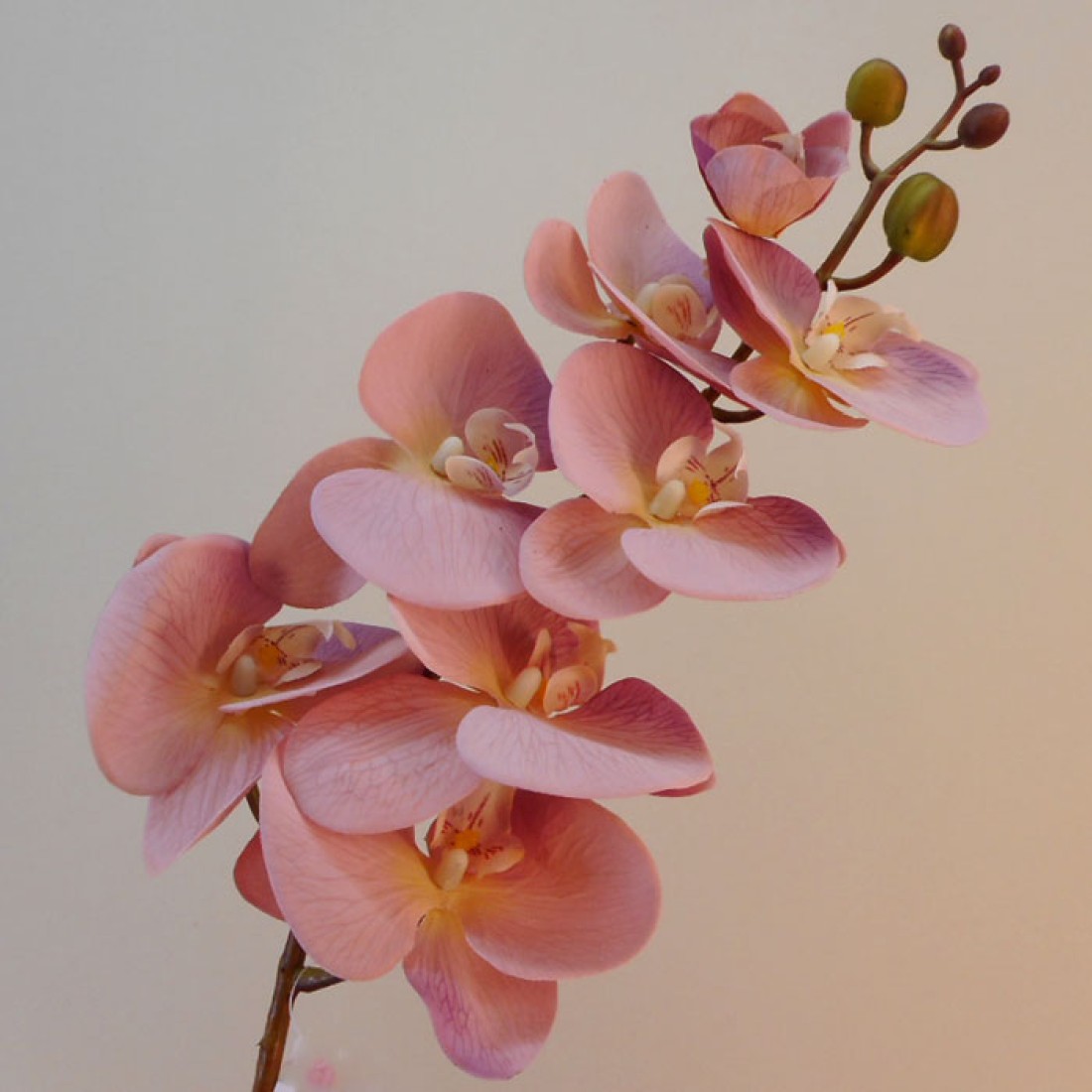 Real Touch Artificial Phalaenopsis Orchid Dusky Pink 99cm Artificial